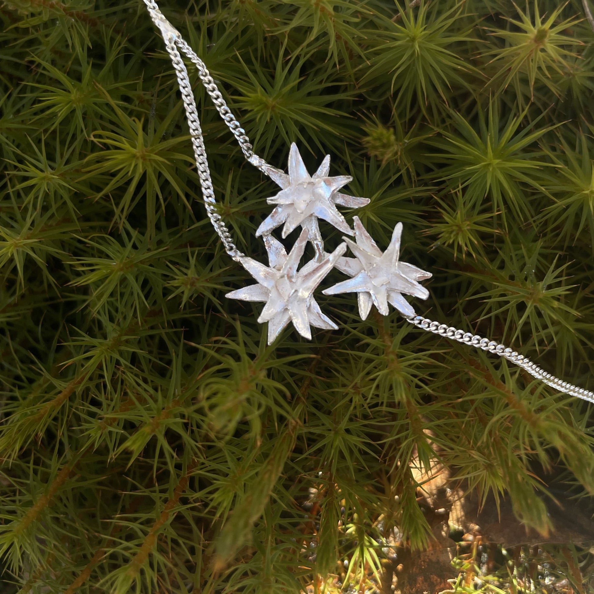 halsband i silver med stjärnor i skogen på björnmossa
