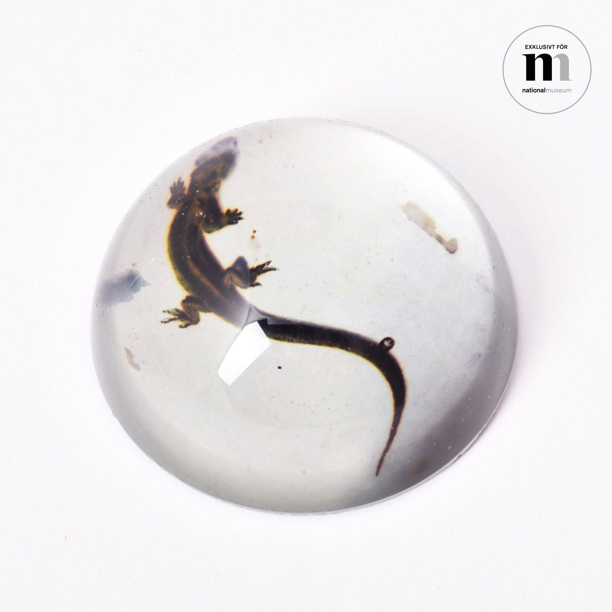 brevtyngd i glas med ödla från Nationalmuseum