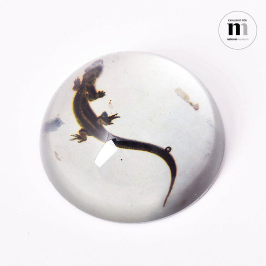 brevtyngd i glas med ödla från Nationalmuseum