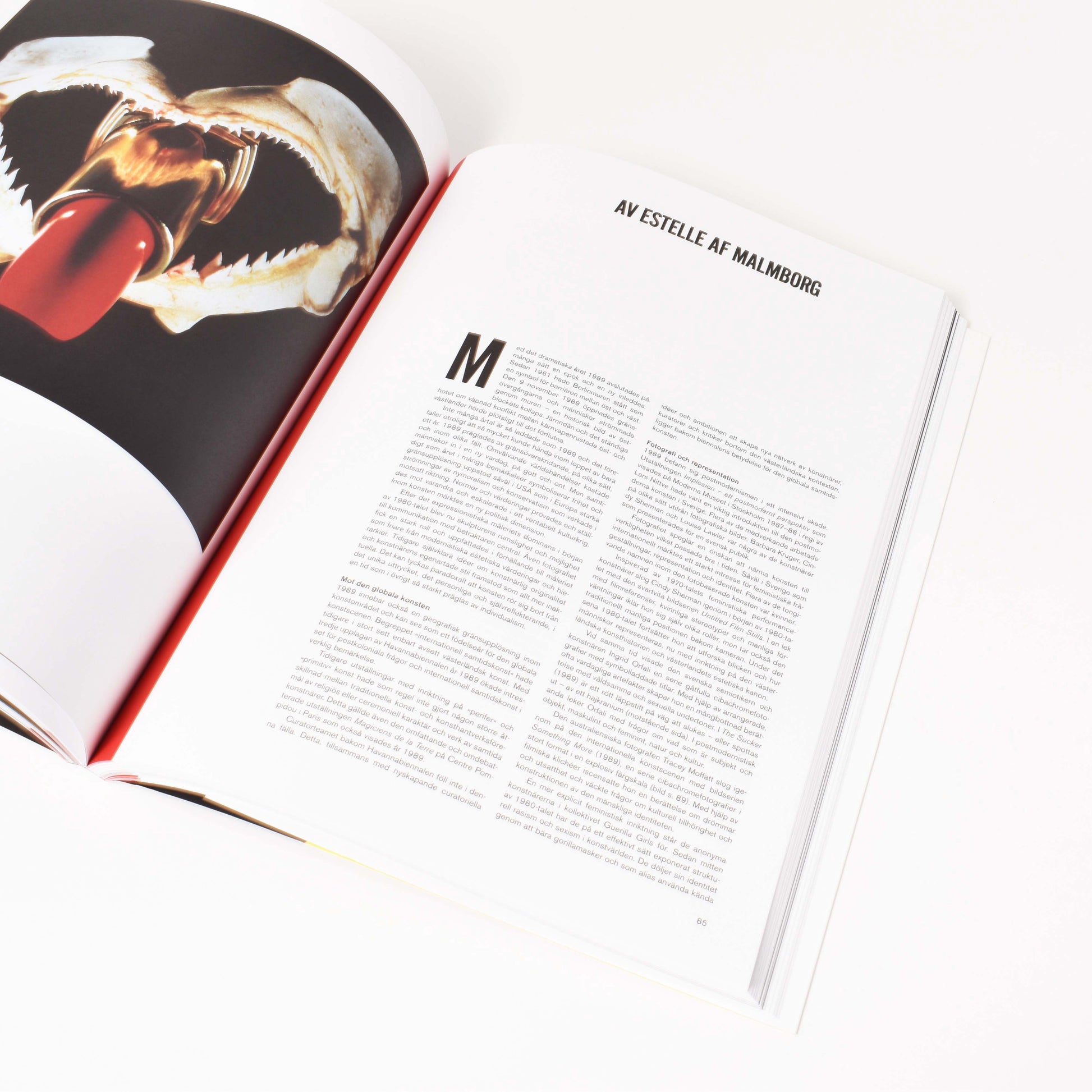 insida från boken "1989-kultur och politik" med verk av Estelle Malmborg