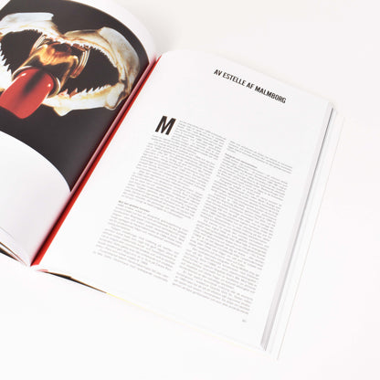 insida från boken "1989-kultur och politik" med verk av Estelle Malmborg