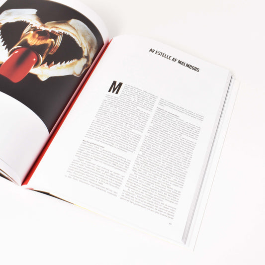 insida från boken "1989-kultur och politik" med verk av Estelle Malmborg