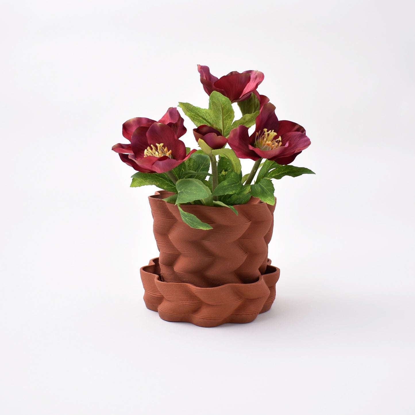 Krukan Kelty pot av Charlie stern och Matti Klenell med rräda blommor i