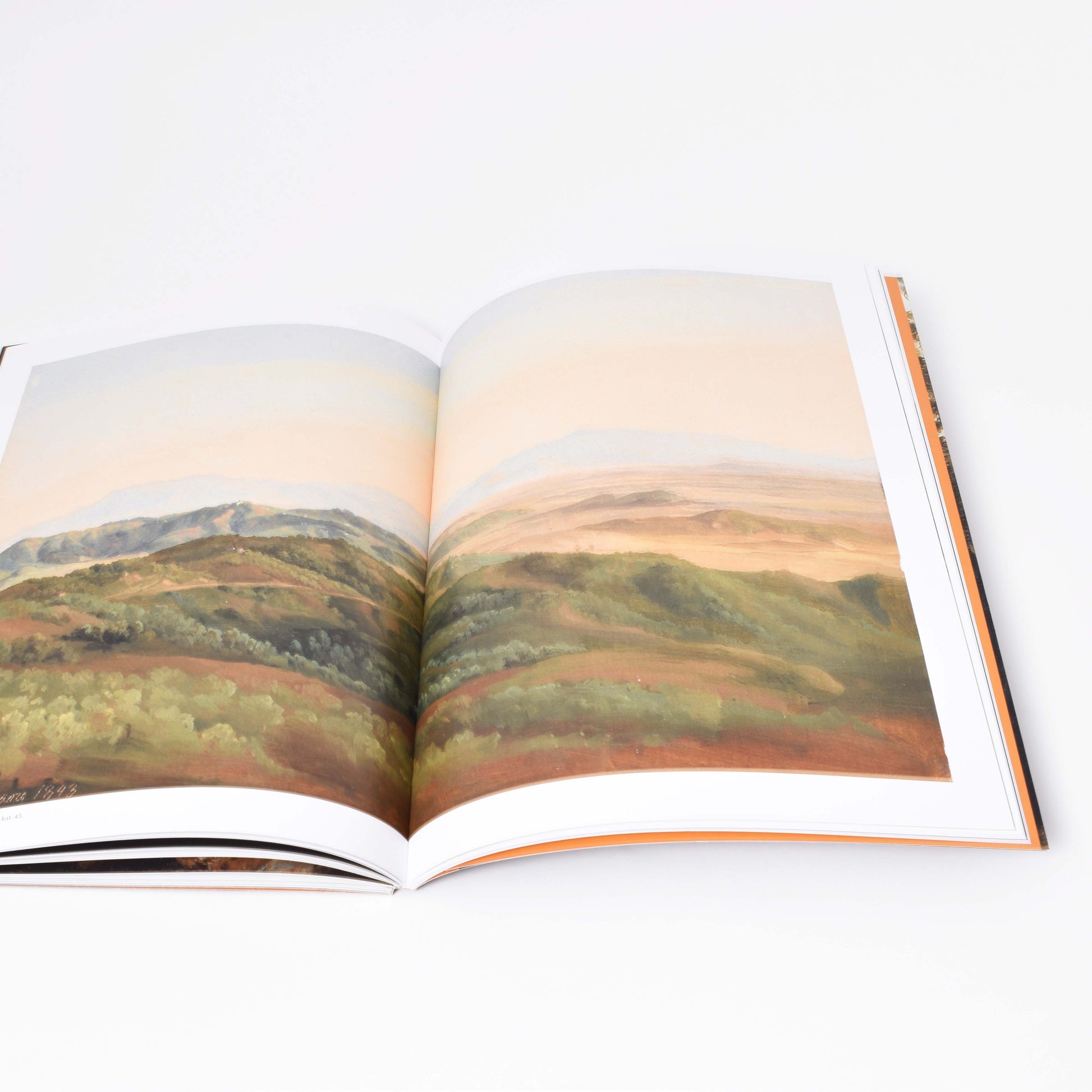 landskapsmåleri från boken "arkadien"