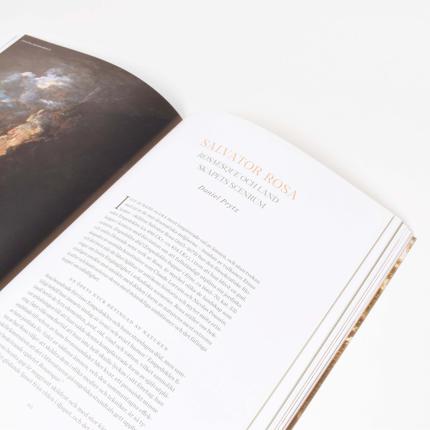 insida i boken "arkadien-ett förlorat paradis" men kapitel om Salvator Rosa