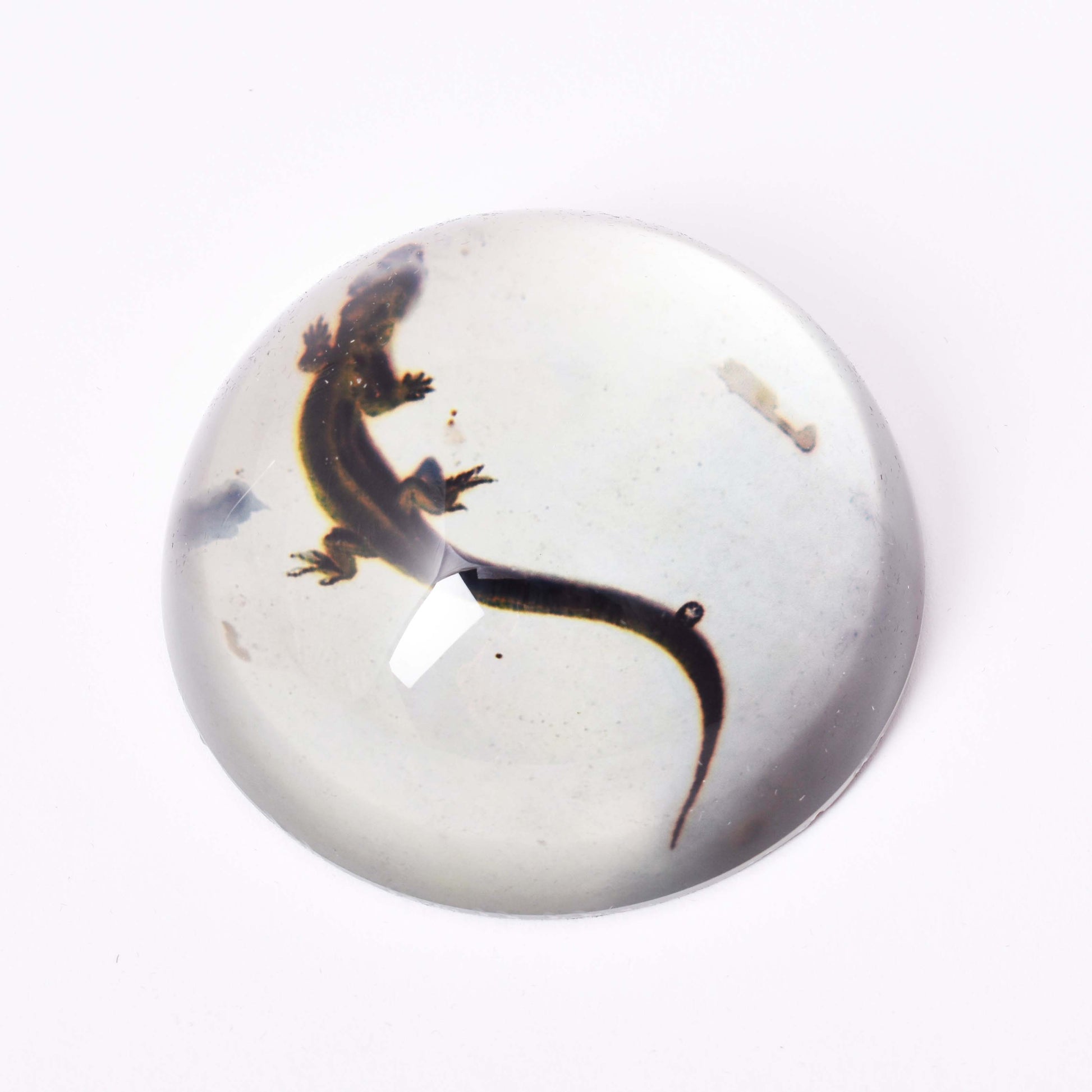 Brevtyngd i glas med motiv av en ödla