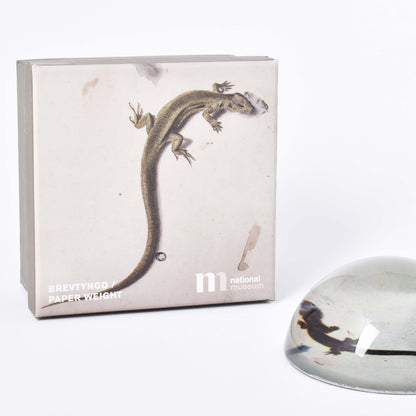 Brevtyngd i glas med motiv av en ödla och förpackning med samma motiv