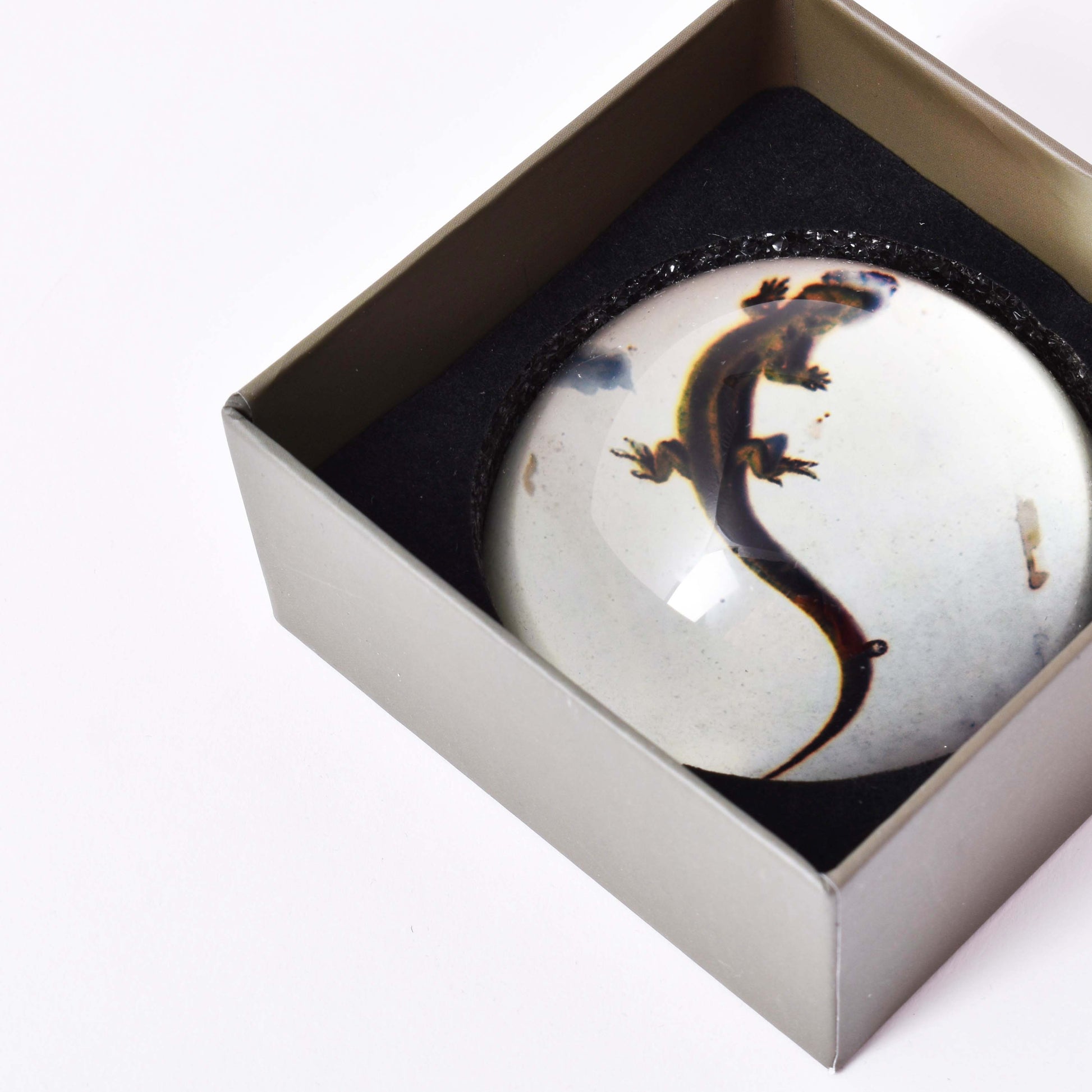 Brevtyngd i glas med motiv av en ödla i en grå förpackning