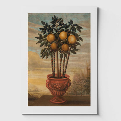 Liten poster med Apelsiner från Nationalmuseums samlingar