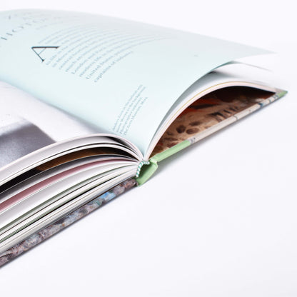 Närbild på bindningen av boken Zorn- en svensk superstjärna