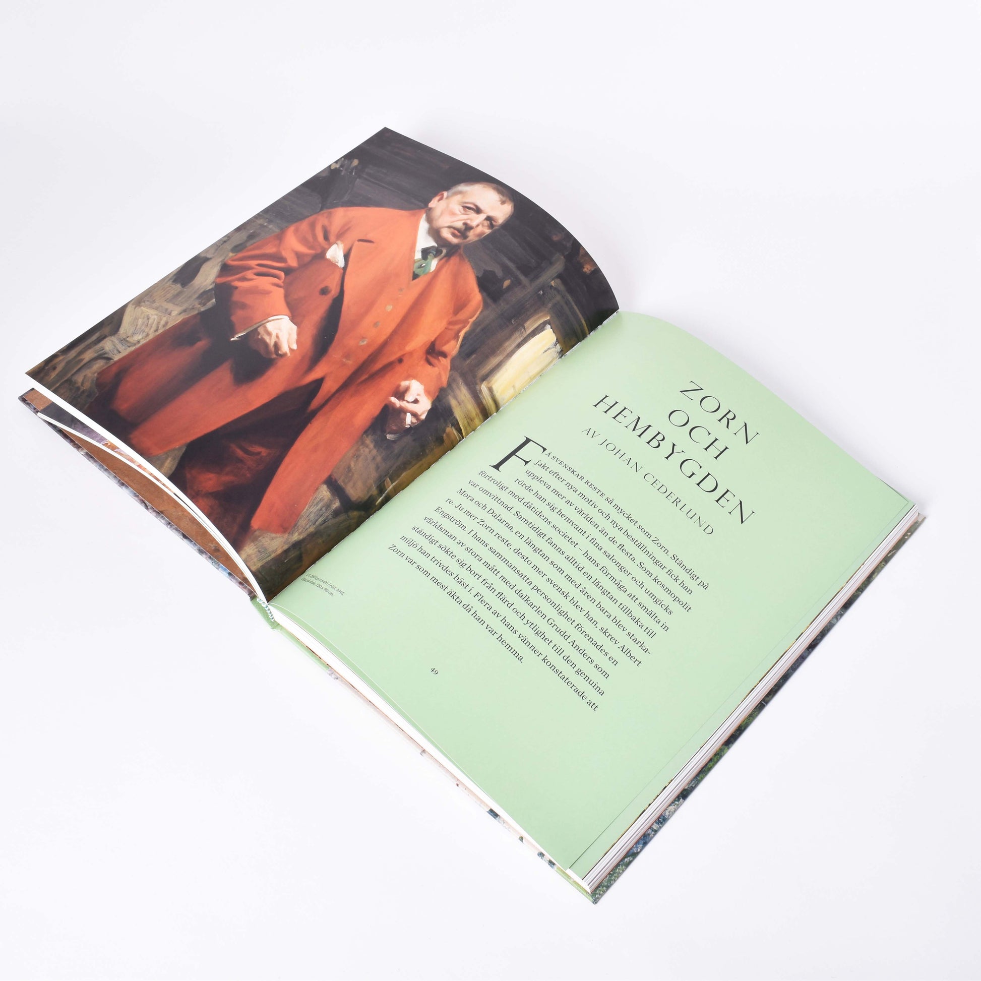 insida i boken Zorn-en svnesk superstjärna med kapitel om zorn och hembygden